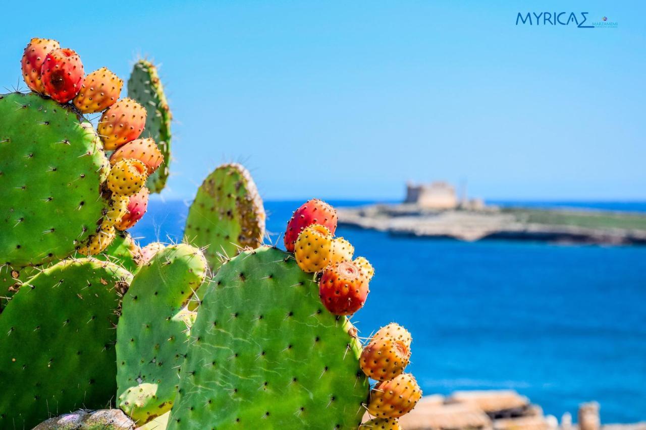 MYRICAE Marzamemi Ospitalità Siciliana Apartamento Exterior foto